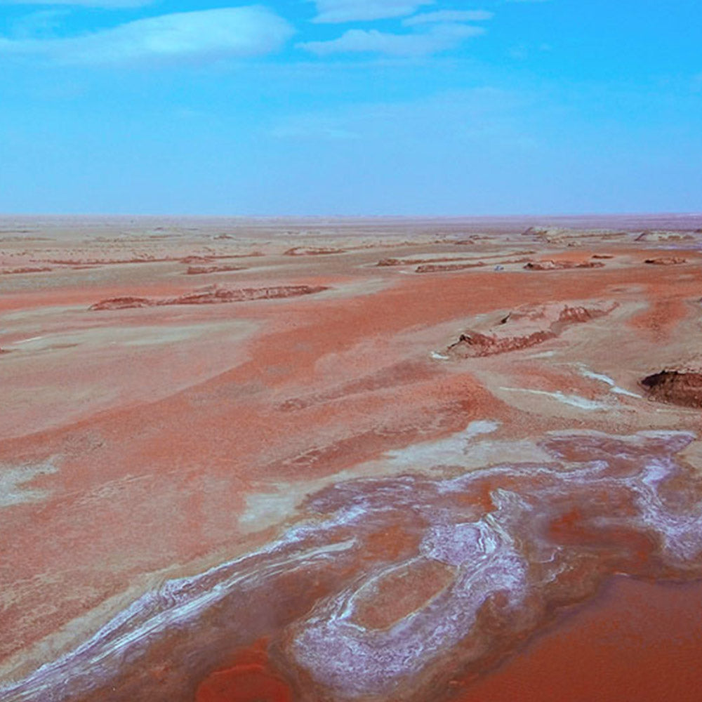 Drone - AI LIFE HOLDINGS