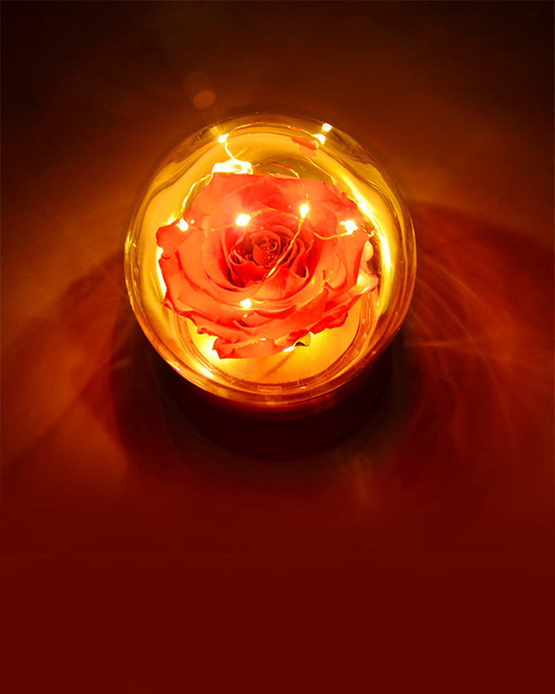 Minds Think Alike - AI LIFE HOLDINGS