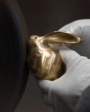 Crystal Brass Lucky Rabbit - AI LIFE HOLDINGS