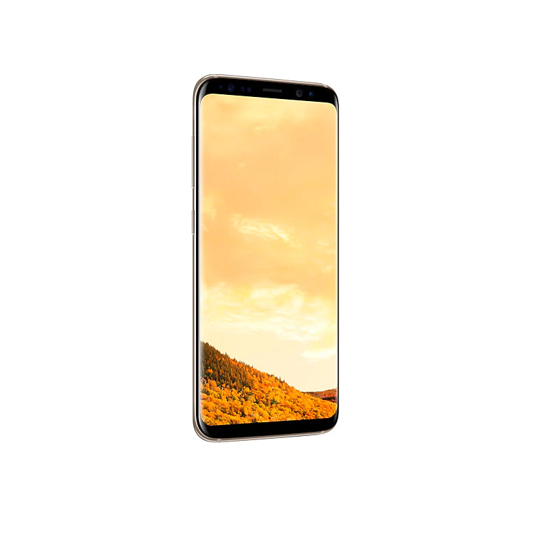 Galaxy S8 64GB Factory Unlocked - AI LIFE HOLDINGS