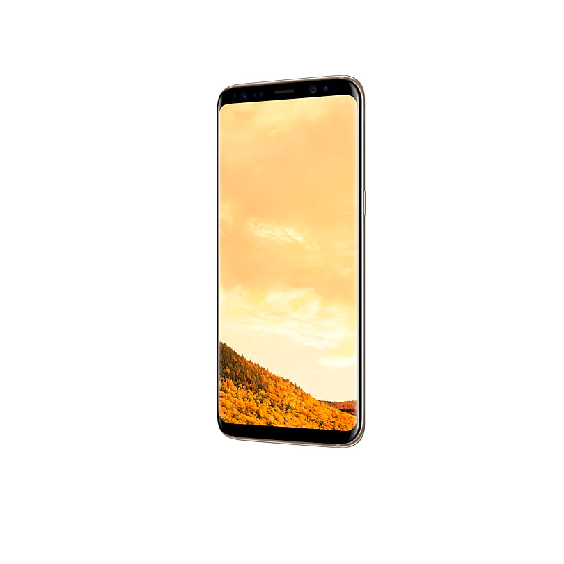Galaxy S8 64GB Factory Unlocked - AI LIFE HOLDINGS