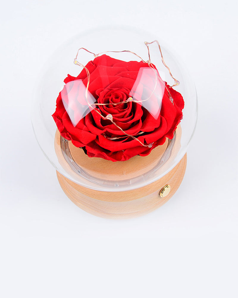 Minds Think Alike - AI LIFE HOLDINGS