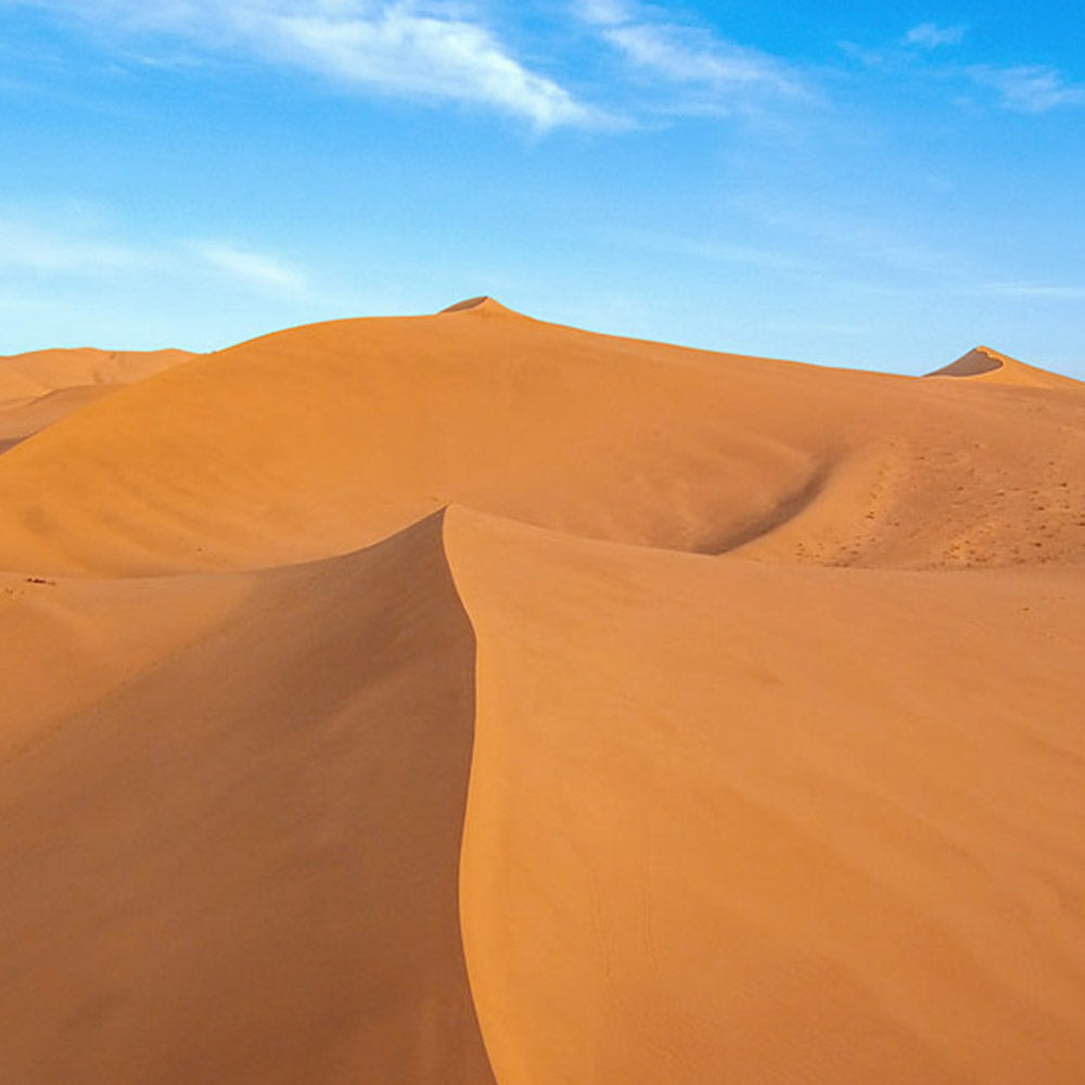 Drone - AI LIFE HOLDINGS