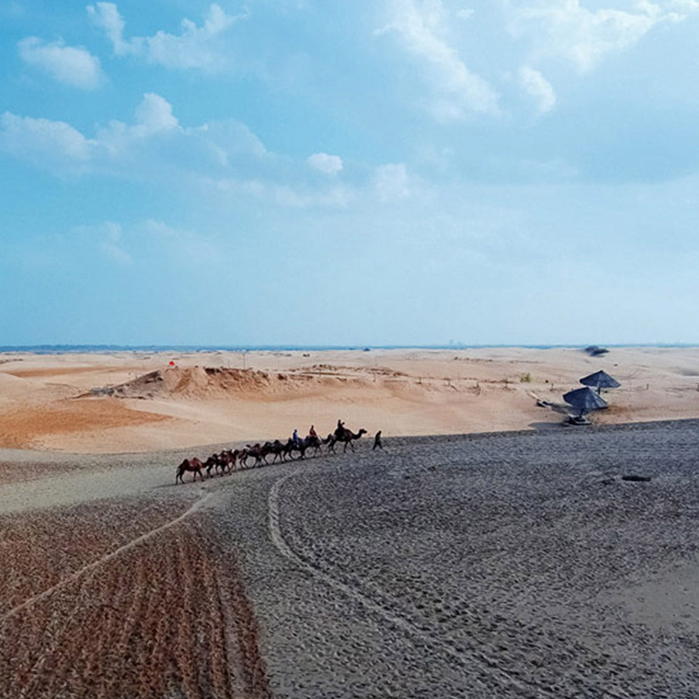 Drone - AI LIFE HOLDINGS