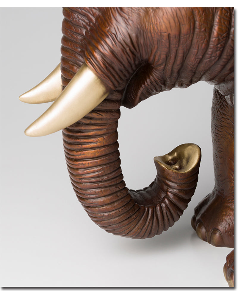 Lucky Elephant - AI LIFE HOLDINGS